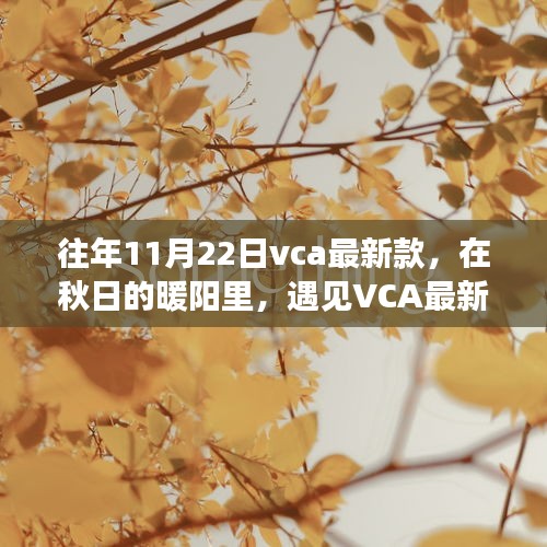 往年11月22日vca最新款，在秋日的暖阳里，遇见VCA最新款——一段温馨的购物记忆