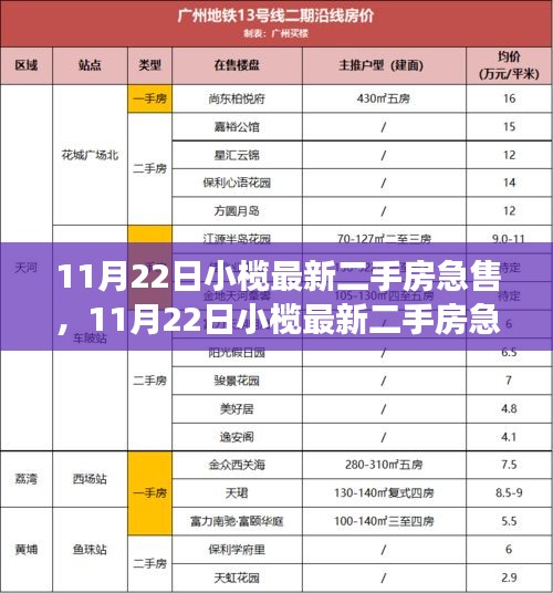 11月22日小榄最新二手房急售情况与多元市场观点探讨