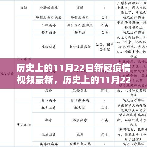 历史上的11月22日新冠疫情视频更新，多维度解读疫情动态