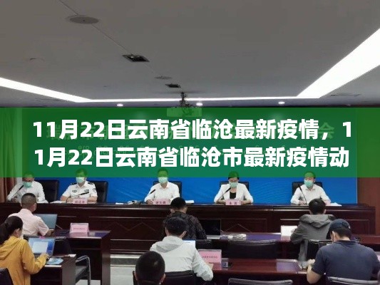 云南省临沧市最新疫情动态，11月22日疫情更新及防控措施分析