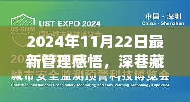 2024年11月22日最新管理感悟，深巷藏珍，2024年11月22日的独特管理感悟与小巷中的惊喜之旅