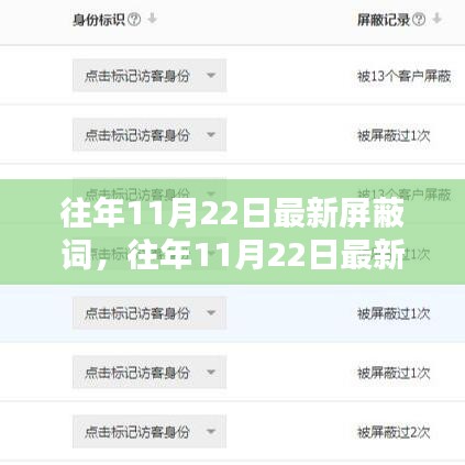 往年11月22日最新屏蔽词产品评测与介绍全解析