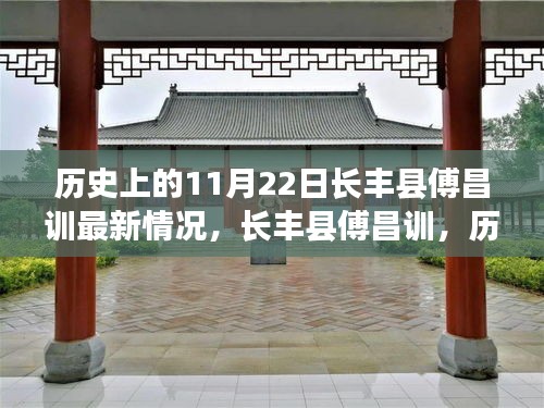 长丰县傅昌训，历史回响与最新进展回顾