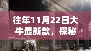 探秘小巷深处的隐藏宝藏，11月22日大牛最新款特色小店揭秘