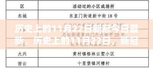 历史上的11月22日，新冠疫情最新进展科普文章