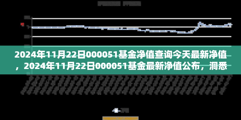 今日金融焦点，2024年11月22日000051基金净值揭晓与金融动态分析