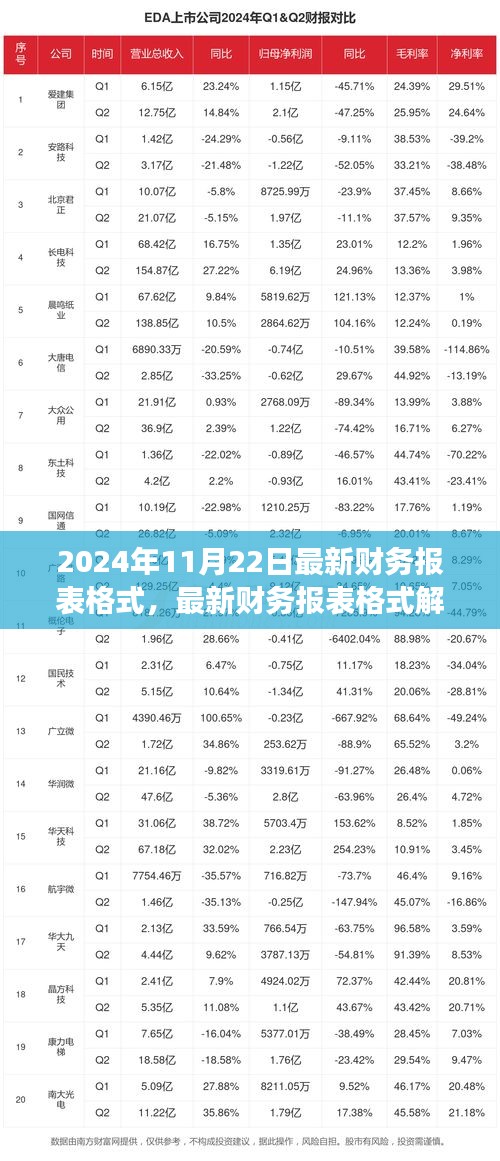 聚焦财务变革，解析最新财务报表格式与解析（2024年11月22日版）