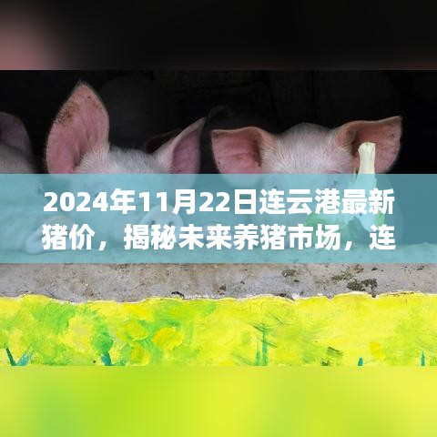 揭秘未来养猪市场，连云港最新猪价与科技产品体验报告（附预测）