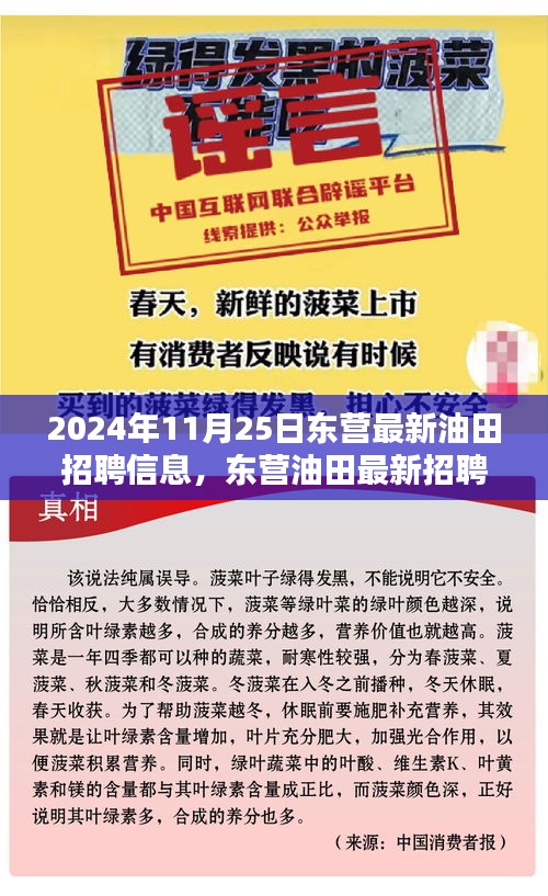 探寻未来石油精英的机遇与挑战，东营油田最新招聘信息发布（2024年11月25日）