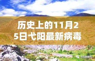 历史上的11月25日弋阳最新病毒，全面评测与介绍深度解析