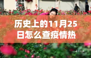 探寻之旅，历史上的11月25日疫情热门动态回顾