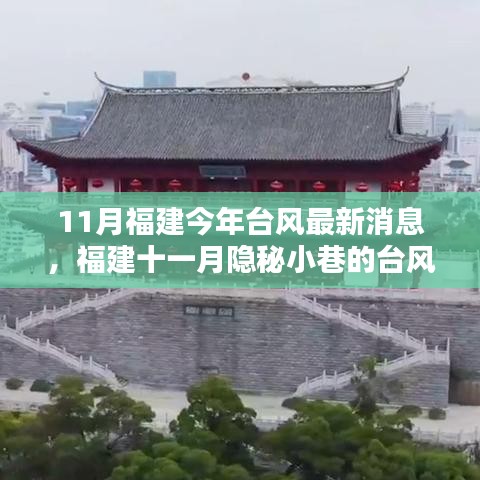 福建十一月隐秘小巷的台风时光，最新台风消息与独特风味探索