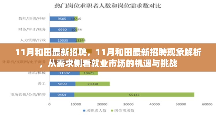 从需求侧探悉和田11月最新招聘现象，就业市场的机遇与挑战解析