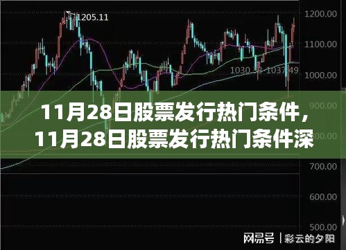 11月28日股票发行热门条件深度解析