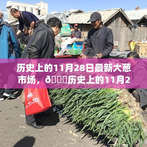 揭秘历史上11月28日大葱市场的繁荣变迁与最新动态🍀