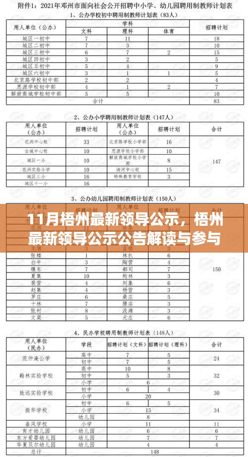 11月梧州最新领导公示详解，公告解读及参与步骤指南（针对初学者与进阶用户）