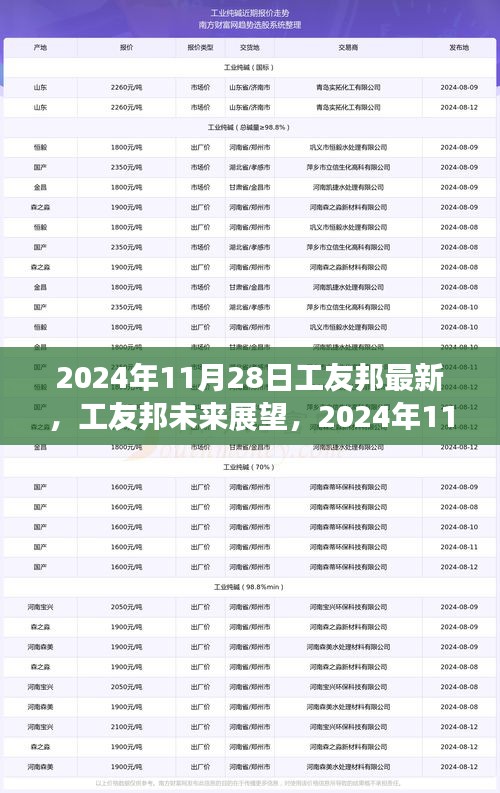 工友邦未来展望，2024年11月28日的机遇与挑战