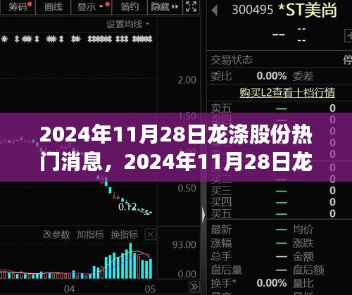 2024年11月28日龙涤股份最新动态与行业热议揭秘