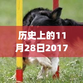 历史上的11月28日，最新款小车购买指南与全攻略，适合初学者与进阶用户参考