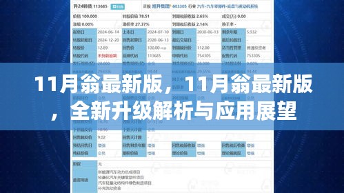 11月翁最新版全新升级解析与应用展望报告