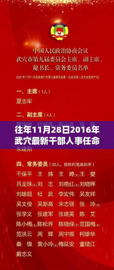 揭秘武穴市最新干部人事任命步骤，2016年11月28日全解析指南