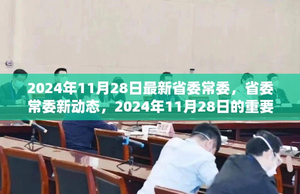 关于省委常委的最新动态，2024年11月28日的更新与重要时刻回顾