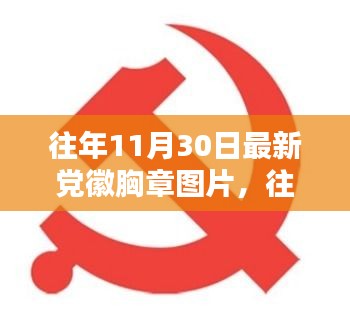 往年11月30日党徽胸章图片探析，一种观点的阐述