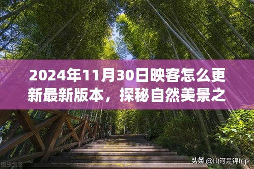 探秘自然美景之旅，映客直播带你领略全新视界，更新指南与心灵港湾启程之旅