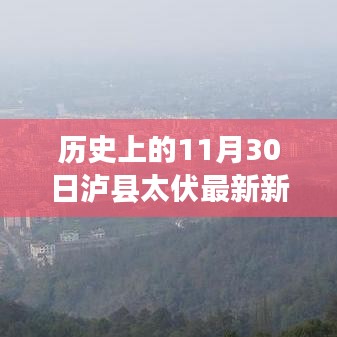 泸县太伏，纪念历史上的温馨日常与最新新闻回顾，11月30日的特殊记忆