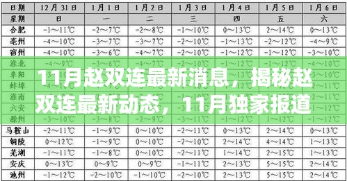 涉政人物赵双连最新动态揭秘，深度解析其近期发展及影响