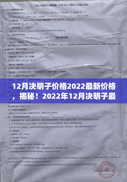 揭秘！2022年12月决明子最新价格动态与市场深度分析