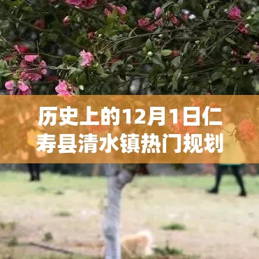 🔥仁寿县清水镇，历史上的12月1日与未来热门规划展望🌟