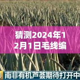 云烟 第12页