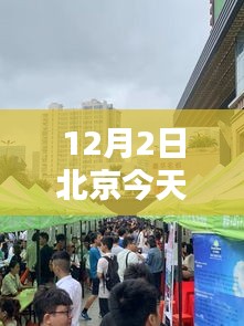 北京今日招聘热点聚焦，行业热点与人才需求解析（12月2日）