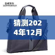 2024年男士休闲包包最新潮流趋势预测，时尚风采展望