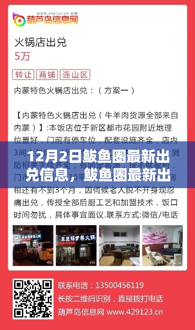 12月2日鲅鱼圈最新出兑信息全攻略，初学者与进阶用户均适用的信息获取指南