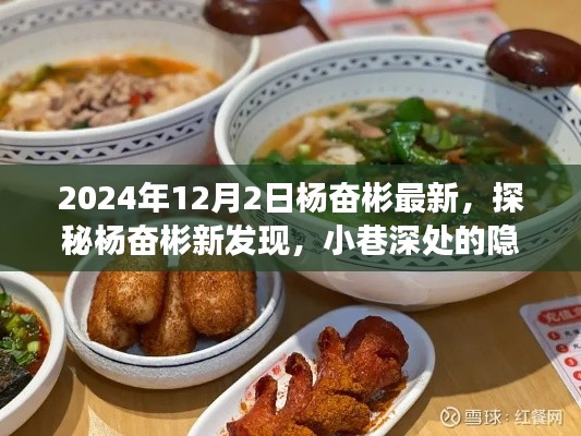 探秘杨奋彬的新发现，小巷深处的隐藏美食天堂（2024年12月2日最新）