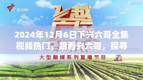 2024年12月6日下兴六哥全集视频热门，跟着兴六哥，探寻自然秘境，一场远离尘嚣的心灵之旅