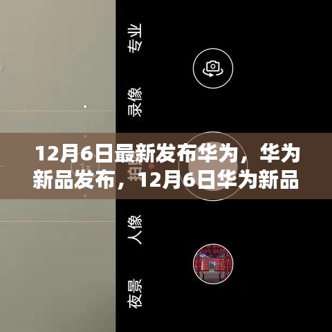 华为新品发布指南，从初学者到进阶用户，体验与设置详解（12月6日新品发布）