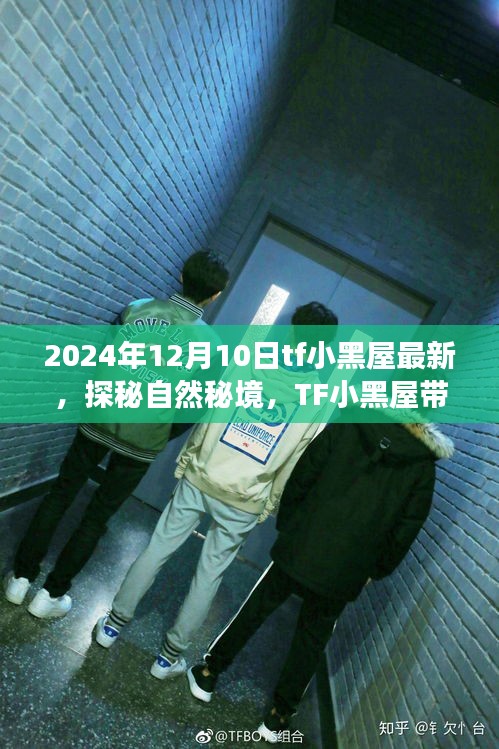 探秘自然秘境，TF小黑屋带你领略宁静之旅（最新更新，2024年12月10日）