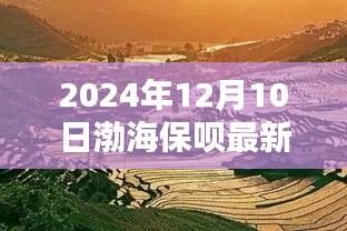 渤海秘境探秘，渤海保呗最新版的独特小店之旅（2024年12月版）