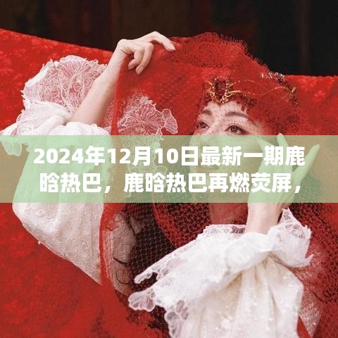 鹿晗热巴荧屏再燃，回顾与影响，2024年12月新篇章开启