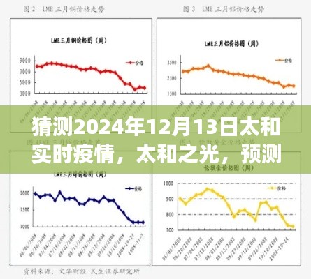 太和之光，预测与成长，共同迎接未来的希望 —— 预测太和实时疫情发展趋势至2024年12月13日