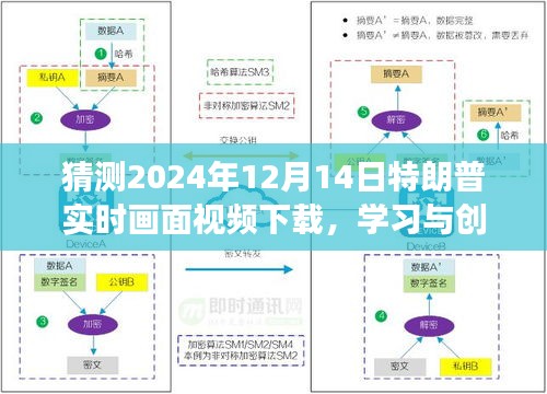 预测未来之旅，特朗普实时画面视频下载背后的学习与创新力量