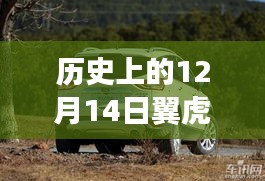 历史上的翼虎实时播报音量震荡事件回顾，12月14日回顾与展望