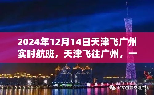 天津飞往广州的爱的航班上的暖心故事，2024年12月14日实时更新