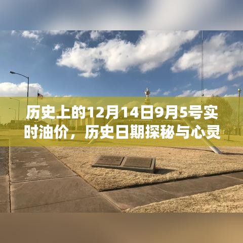 历史油价探秘与心灵之旅，自然美景下的油价波动与平静时刻