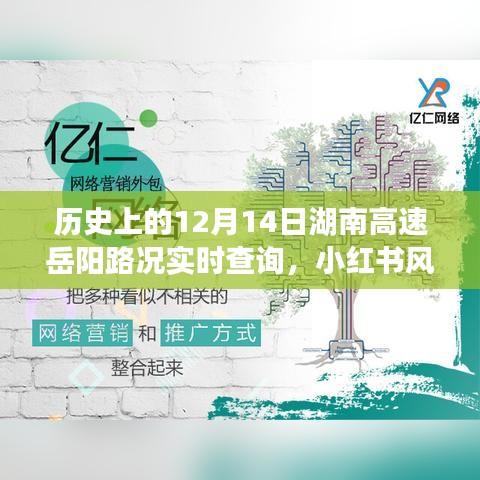 历史上的12月14日湖南高速岳阳路况小红书纪实，实时查询与回顾