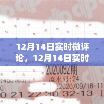 12月14日实时微评论，热点事件深度解读与独特见解