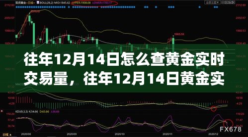 往年12月14日黄金实时交易量查询攻略，全面评测与深度介绍